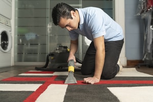 Limpieza de alfombras en Guadalajara